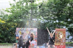 Tripalium 7 * 5184 x 3456 * (11.38MB)